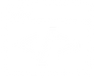 Web Developers